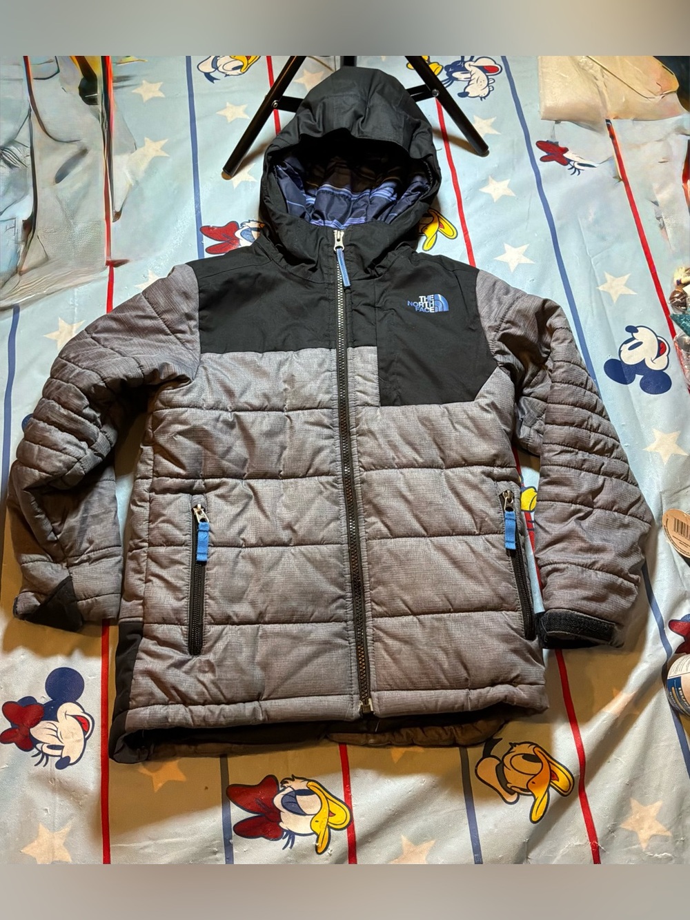 The north face boys jacket insulated & waterproof size 7/8 small